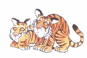 Zwei Tiger