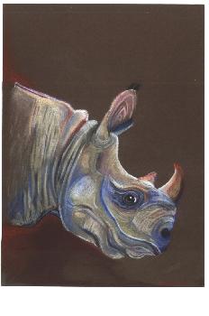 Nashorn